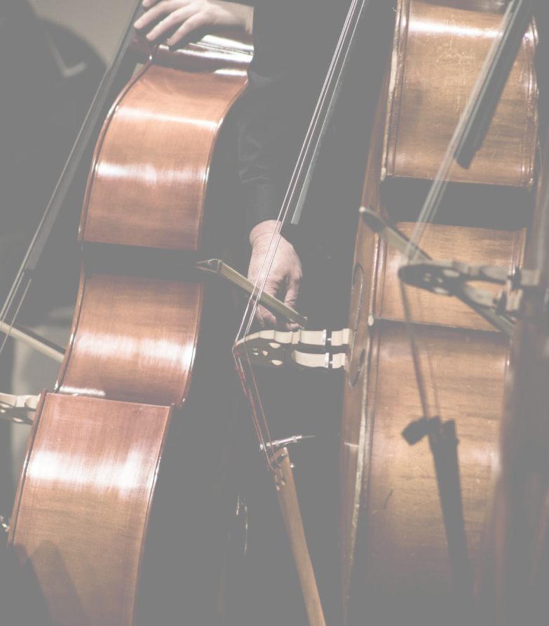 Kammerorchester Schweinfurt – Originalmotiv der Fallstudie