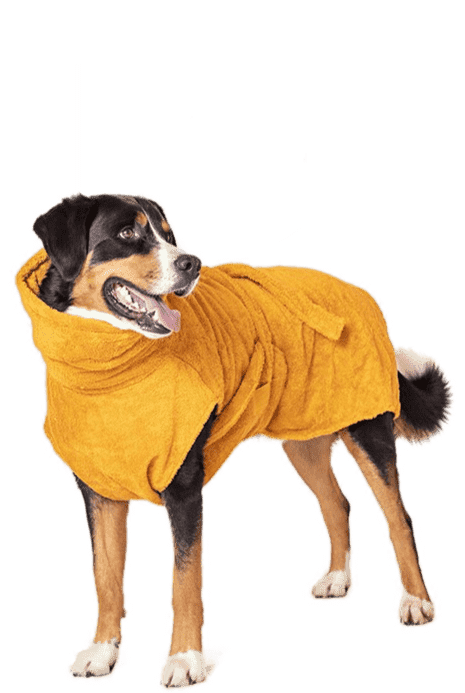 Hund in gelbem Bademantel von Lill's