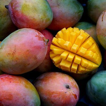 Bio-Mango Keitt, 6 kg