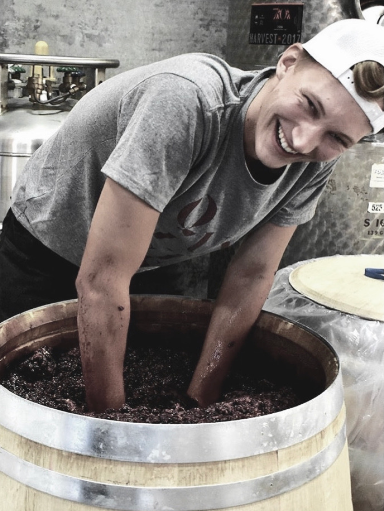amatwine – Originalmotiv der Fallstudie