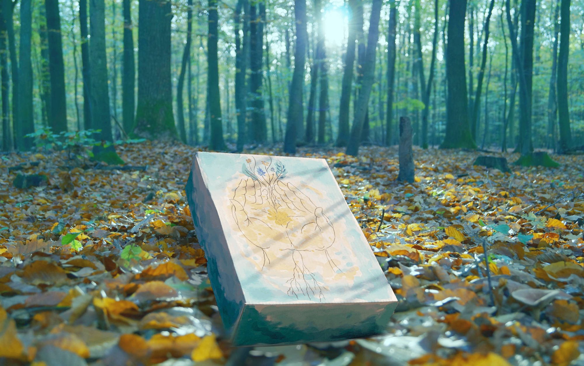 Balduins Box – handbemalte Balduins Box auf Herbstlaub im Wald (offizielles Kundenfoto)